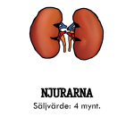 Organ: Njurarna