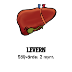 Organ: Levern