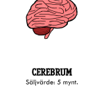 Organ: Cerebrum